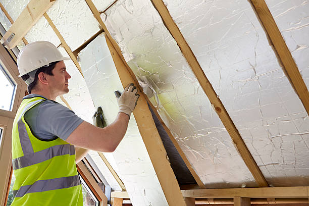Best Residential Insulation in Millbury, OH