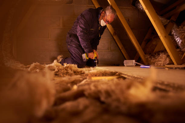 Best DIY Insulation Kits and Guidance in Millbury, OH